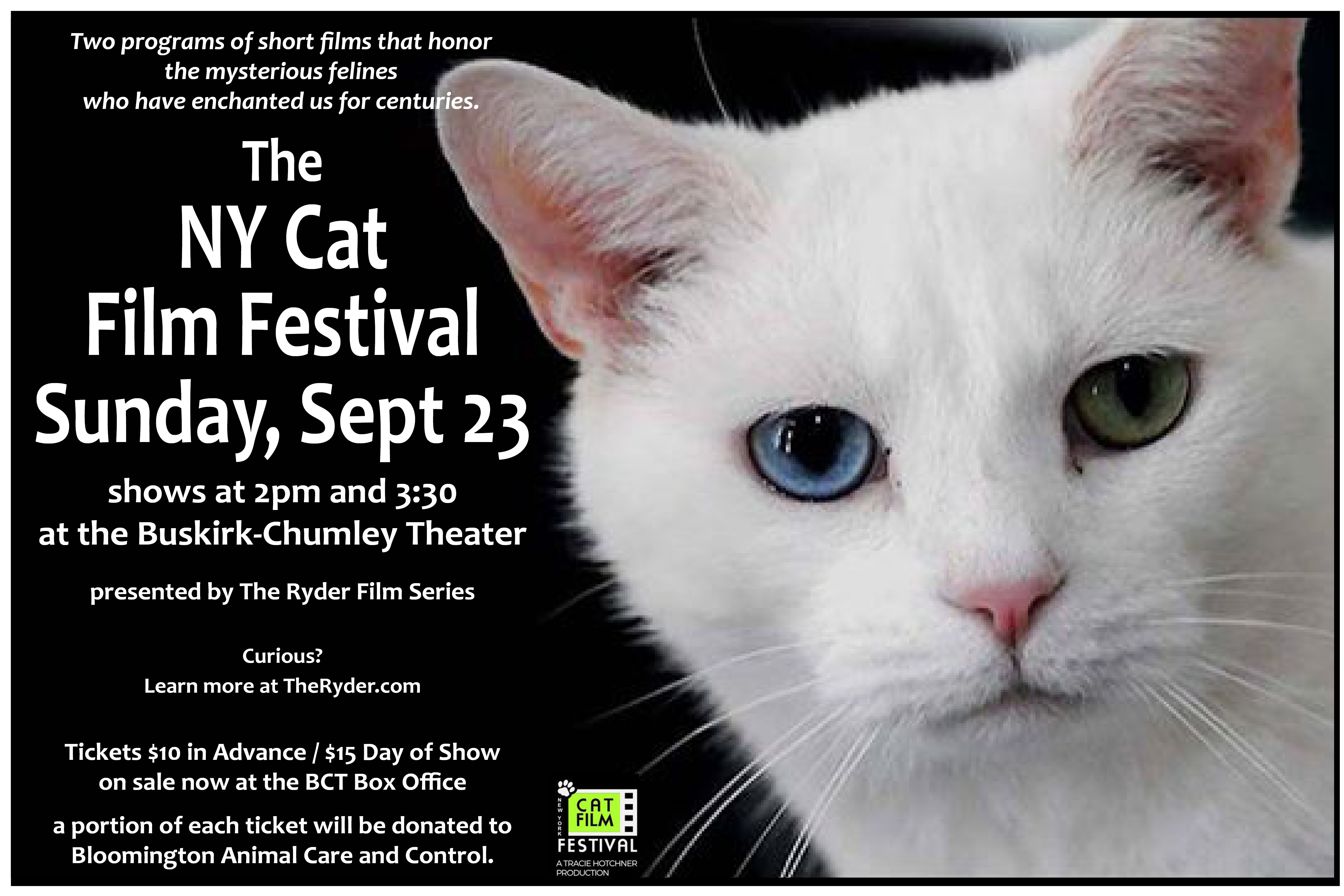 The NY Cat Film Festival The Ryder Magazine & Film Series